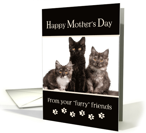 Mother's Day From Cats - Custom Photo card (925722)