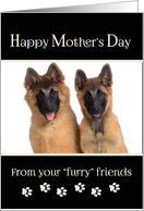 Mother’s Day From Dogs - Custom Photo Card