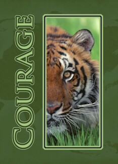 Courage Tiger Cancer...