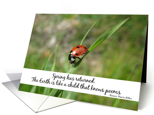 Spring cox card (232898)