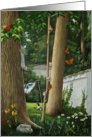 My Backyard card