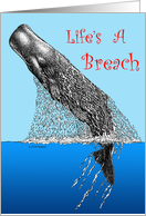 Life’s A Breach card
