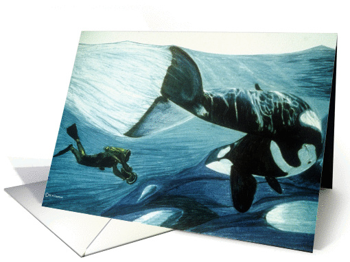 Orca & Diver card (219244)