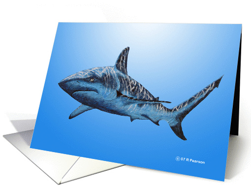 Bull Shark card (219929)