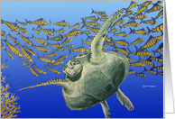 Sea Turtle card