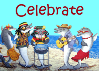 Dolphin Beach Party...