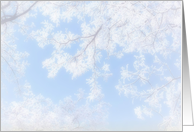 Peace card