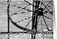 Black White card