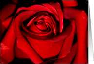 Rose card