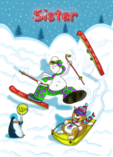 Funny skiing Sisster...