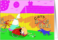 cats rule card