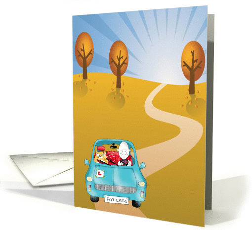 Thank you for the driving lessons card (396510)