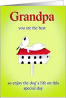 Grandpa you are the...