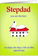 Happy Birthday Stepdad card