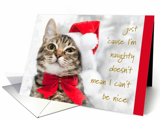 Naughty and Nice Kitty Cat Holiday Christmas Santa Hat Red Bow card