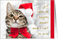Naughty and Nice Kitty Cat Holiday Christmas Santa Hat Red Bow card