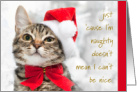 Naughty and Nice Kitty Cat Holiday Christmas Santa Hat Red Bow card