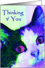 Thinking of You Cat Blank Card