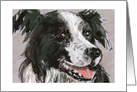 Border Collie 2 card