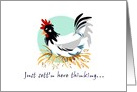 Thinking Of You Friend Chicken on Nest card