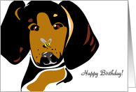 Dog and Bug Birthday card