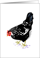 Black Speckled Hen card