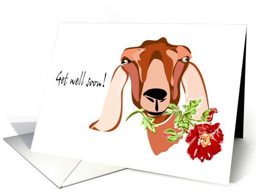 Get Well Soon Goat card (231677)