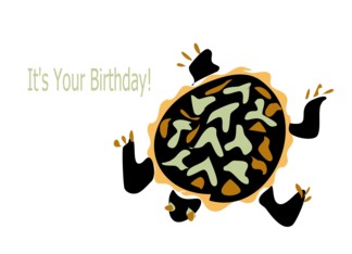 Birthday Turtle