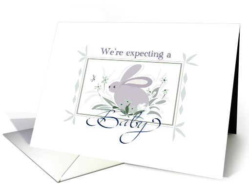 We're Expecting A Baby card (248230)