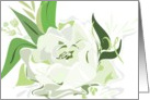 White Rose Wedding Invitation card