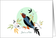 Song Bird Note Card