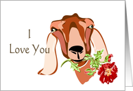 I love You Valentine Goat card