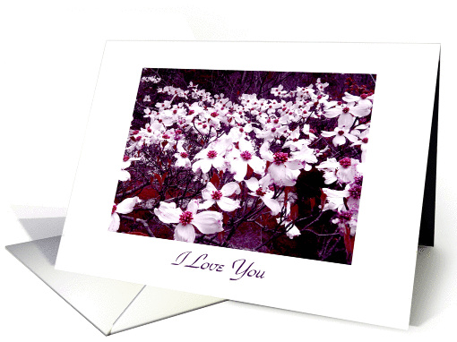 I Love You Valentine Dogwood card (337498)