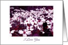 I Love You Valentine Dogwood card