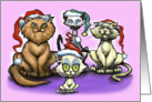 Christmas Cats card