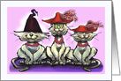 Witch Hat and Cats with Red Hats card