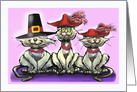 Pilgrim Hat and Cats with Red Hats card