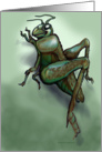 Bugs card
