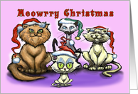 Meowrry Christmas card