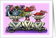 Fireworks and Cats with Red Hats card