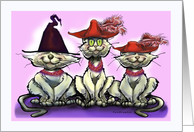 Witch Hat and Cats...