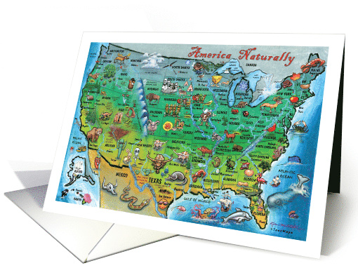 America Naturally Fun Map card (1889800)