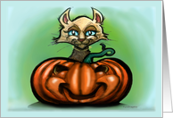 Pumpkin Cat card