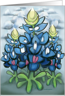 Bluebonnets card
