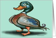 Mallard Duck