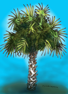 Carolina Pine Card Greeting Card