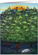 Redwood Card