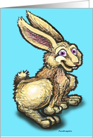 Rabbit Card