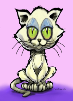 Kitten