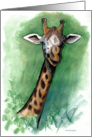 Giraffe Card